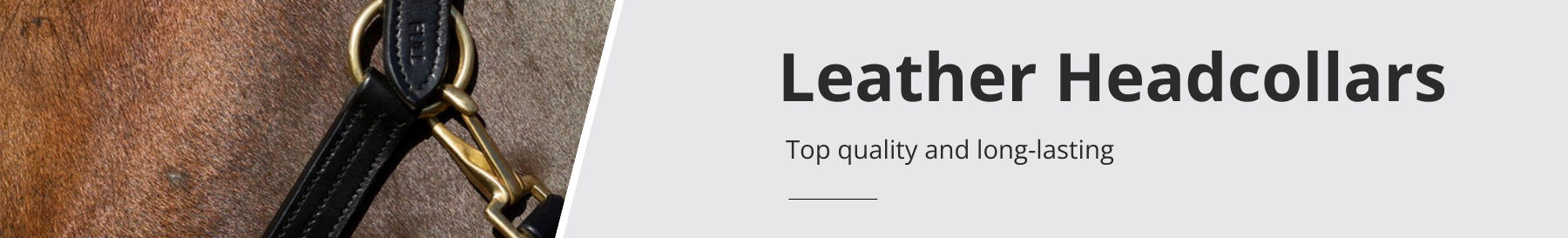 Leather Headcollars
